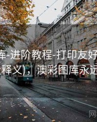澳彩图库-进阶教程-打印友好-快速对照(字段释义)，澳彩图库永远的领先